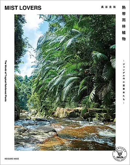 熱帯雨林植物 MIST LOVERS