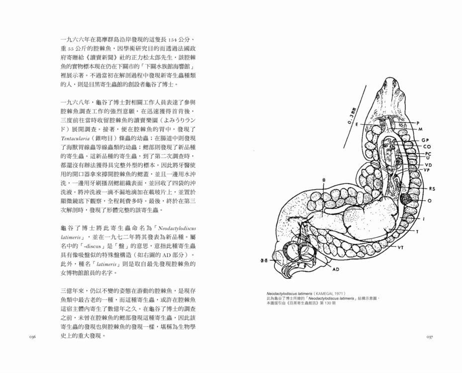 寄生虫学テキスト 第4版 | 上村 清, 木村英作, 金子 明, 丸山