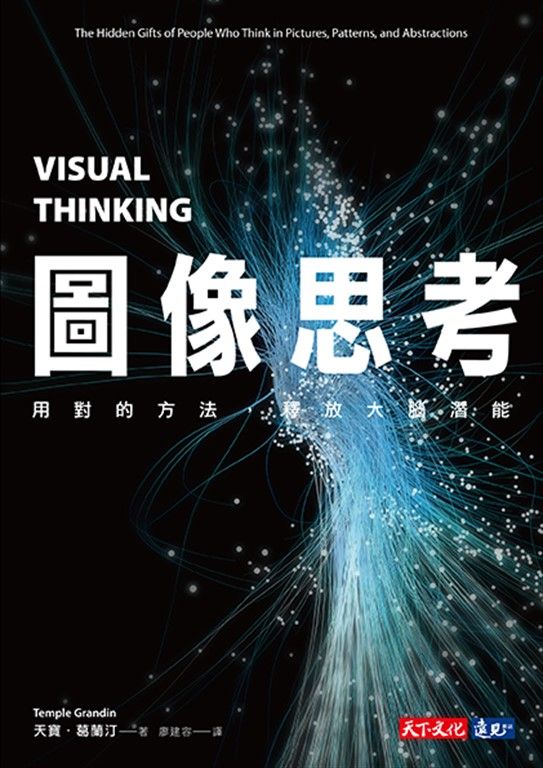 圖像思考:用對的方法,釋放大腦潛能 (電子書)