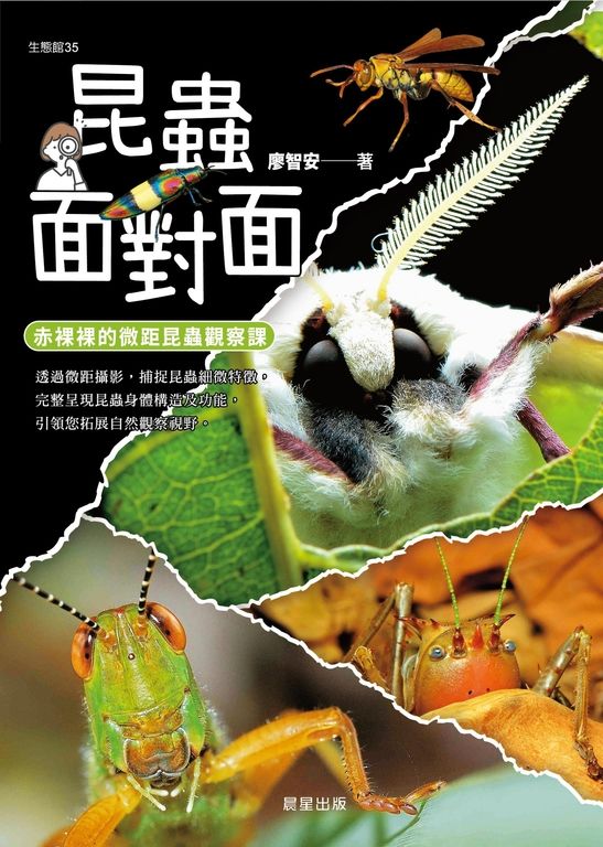 昆蟲面對面:赤裸裸的微距昆蟲觀察課 (電子書)