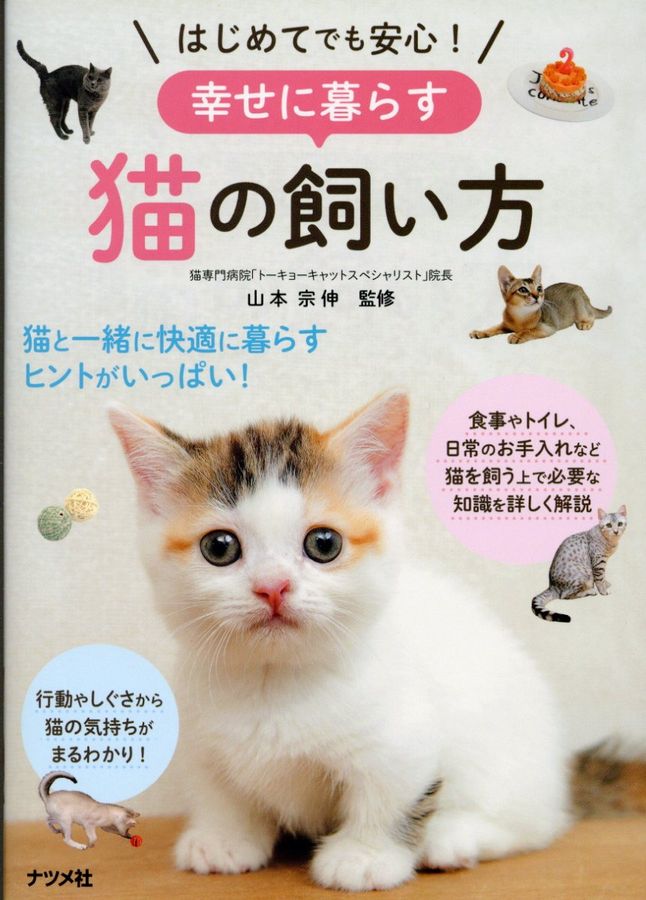 はじめてでも安心!幸せに暮らす猫の飼い方