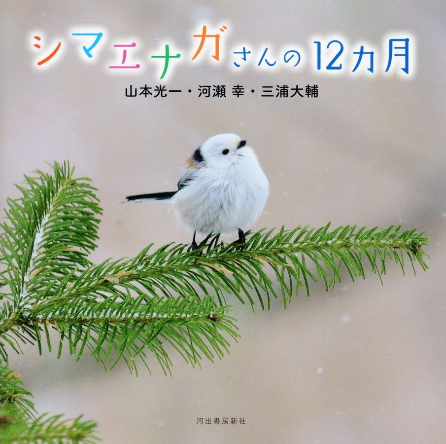 シマエナガさんの12カ月