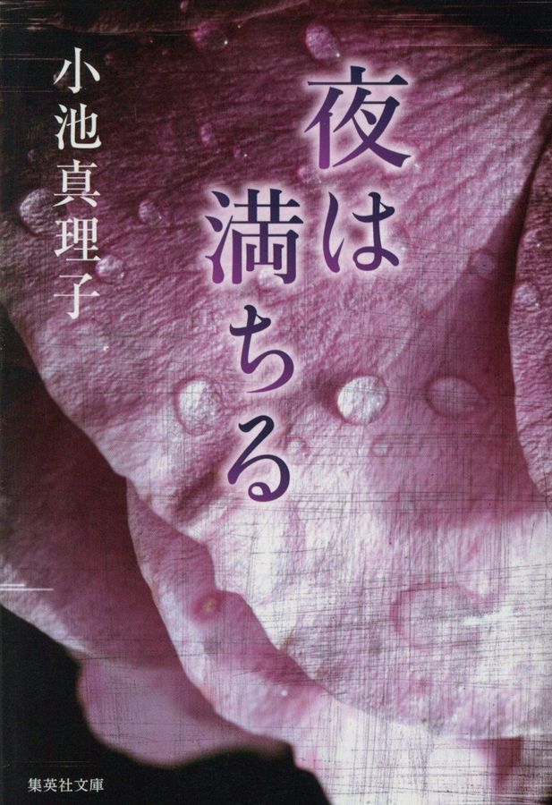 夜は満ちる(文庫)