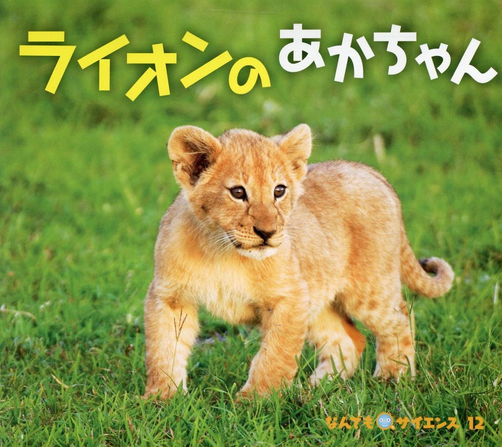 ライオンのあかちゃん チャイルド科学絵本館