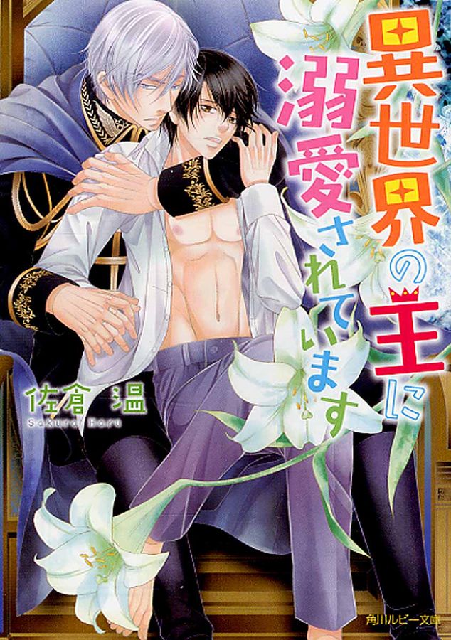 異世界の王に溺愛されています 角川ルビ-文庫 R176-6(文庫)