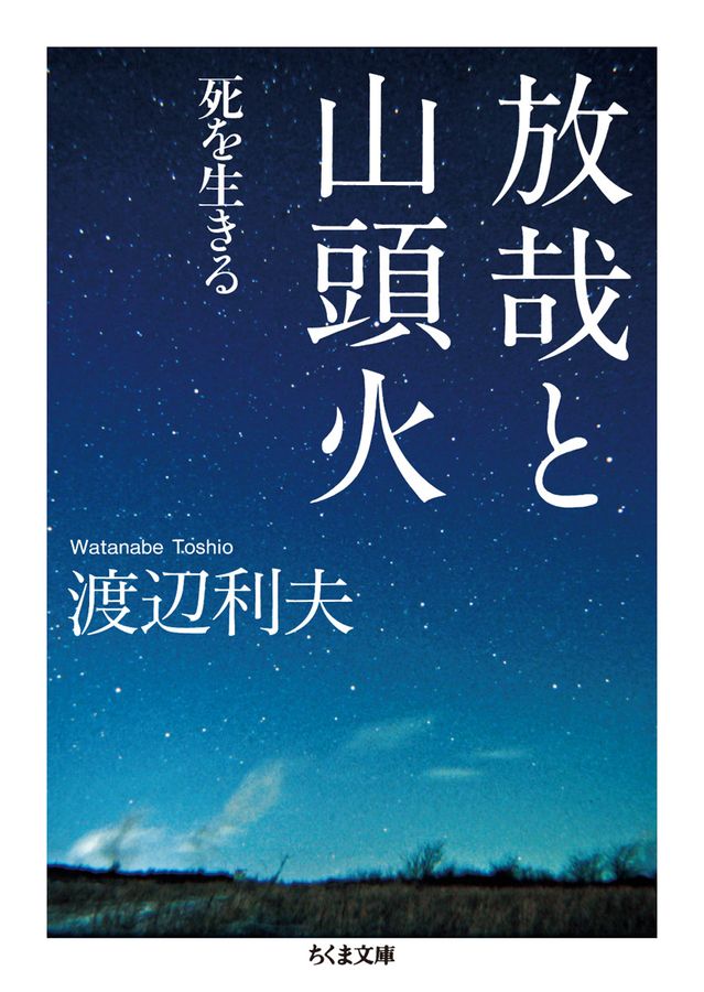 放哉と山頭火(文庫)