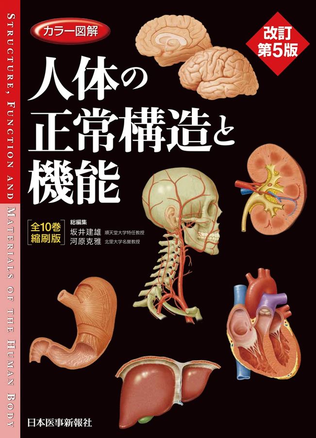 改訂　5版　人体の正常構造と機能 カラー図解人体の正常構造と機能[全10巻縮刷版](改訂第5版) │ 誠品線上