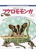 フクロモモンガ