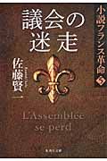 議会の迷走(文庫)