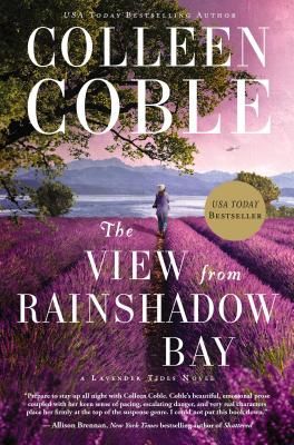 The View from Rainshadow Bay: Romantic Suspense