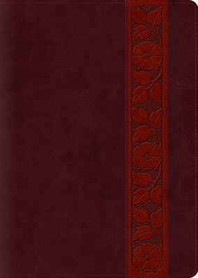 Study Bible-ESV-Large Print Trellis Design