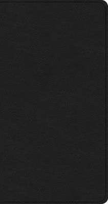 CSB Share Jesus Without Fear New Testament, Black Leathertouch