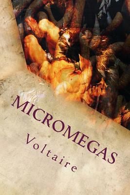 Micromegas