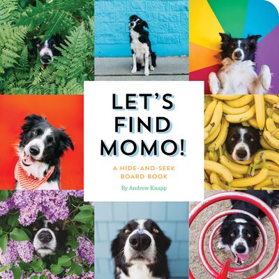 Let's Find Momo! A Hide-and-Seek Board Book