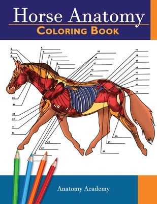 Horse Anatomy Coloring Book: Incredibly Detailed Self-Test Equine Anatomy Color workbook Perfect Gift for Veterinary Students, Horse Lovers & Adults