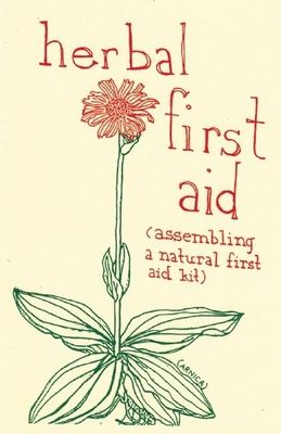 Herbal First Aid: Assembling a Natural First Aid Kit