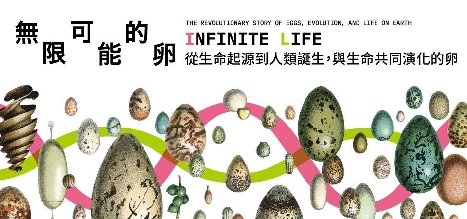 電子書-生活館-精選活動2-無限可能的卵