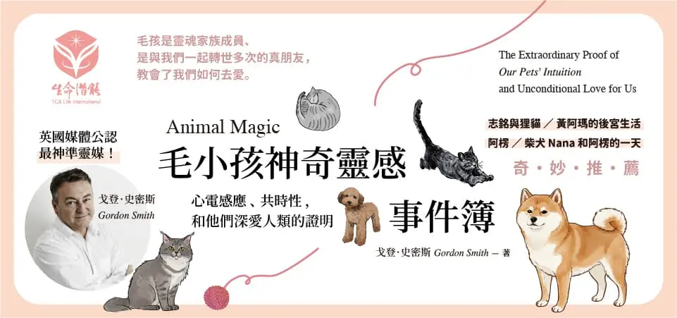 毛小孩神奇靈感事件簿_精選12