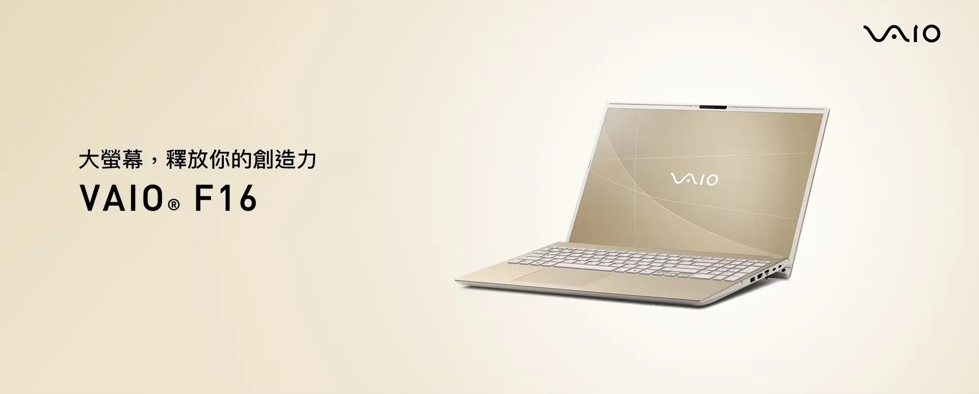 VAIO