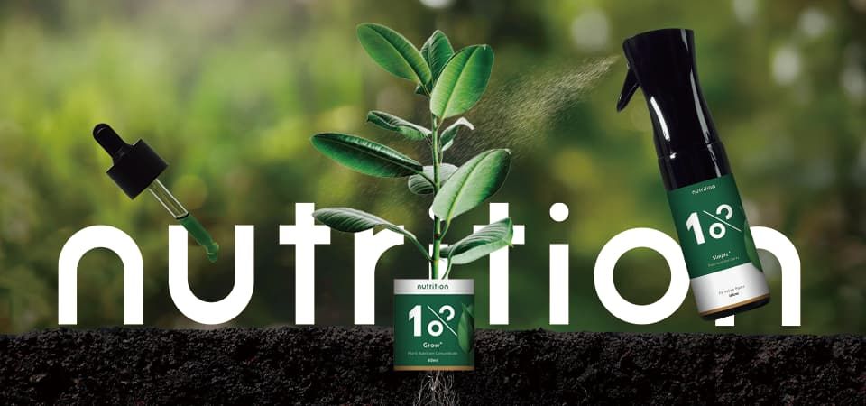1% nutrition植物關鍵 BN