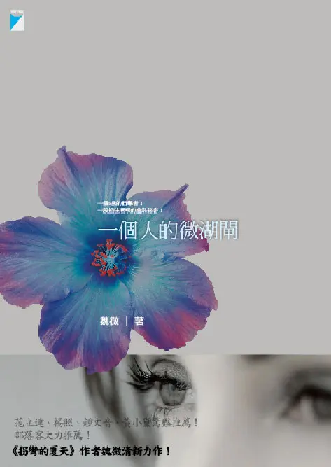 一個人的微湖閘