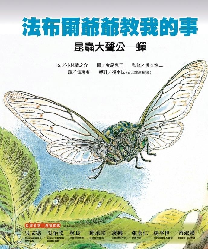 法布爾爺爺教我的事: 昆蟲大聲公蟬