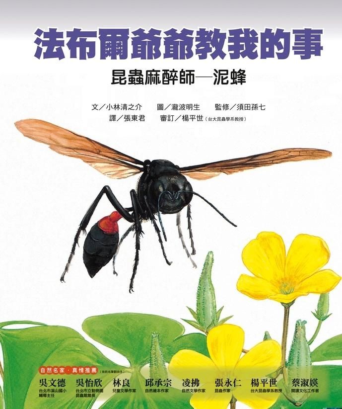 法布爾爺爺教我的事: 昆蟲麻醉師泥蜂