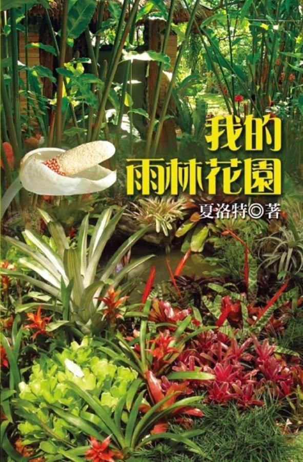 我的雨林花園