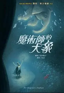 魔術師的大象