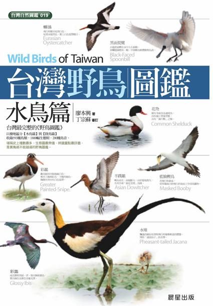 台灣野鳥圖鑑: 水鳥篇