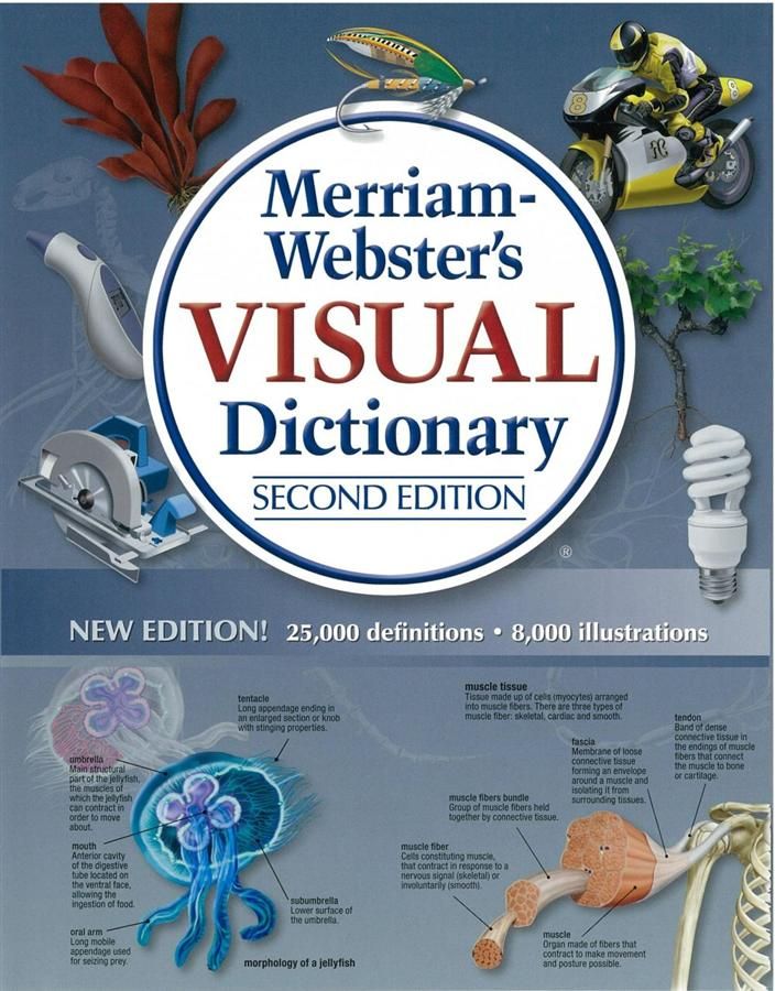 Merriam-Webster's Visual Dictionary (2 Ed.)