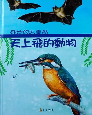 天上飛的動物