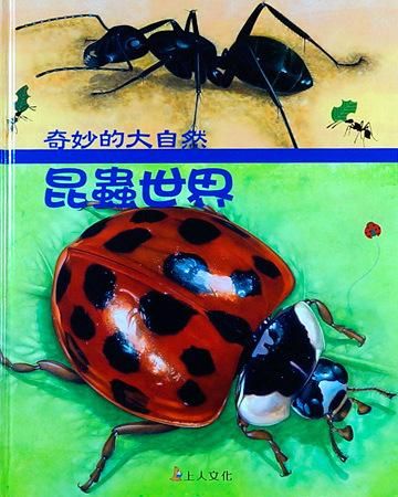 昆蟲世界