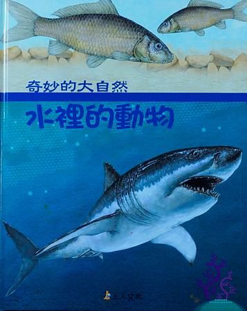 水裡的動物