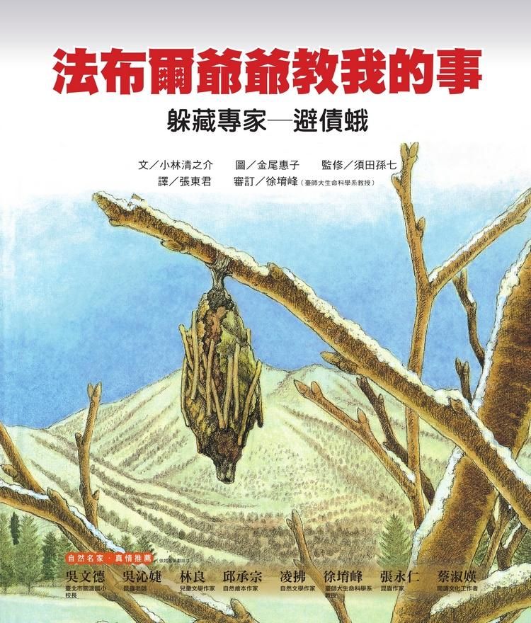 法布爾爺爺教我的事: 躲藏專家避債蛾