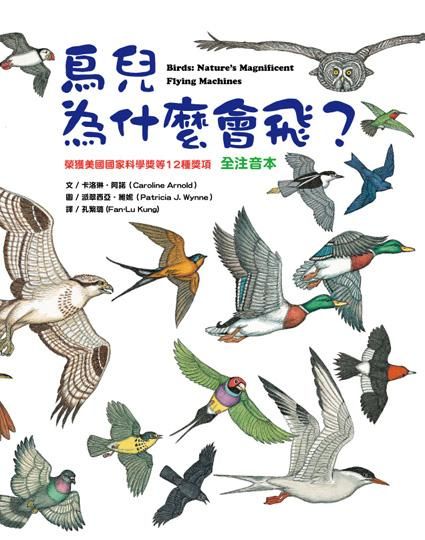 鳥兒為什麼會飛?