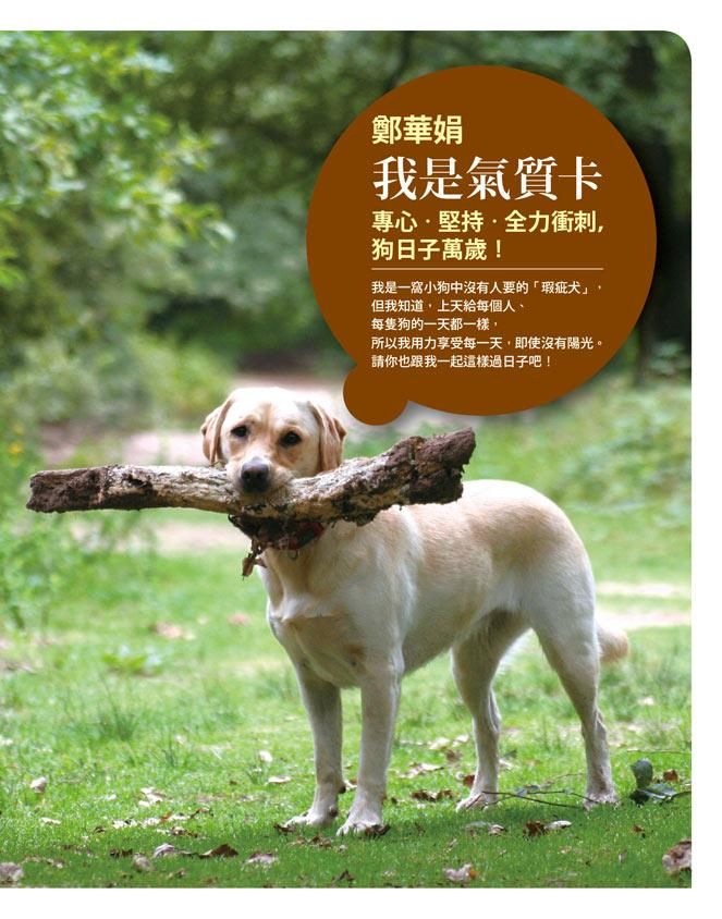 我是氣質卡: 專心．堅持．全力衝刺, 狗日子萬歲!