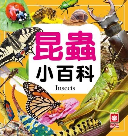 昆蟲小百科