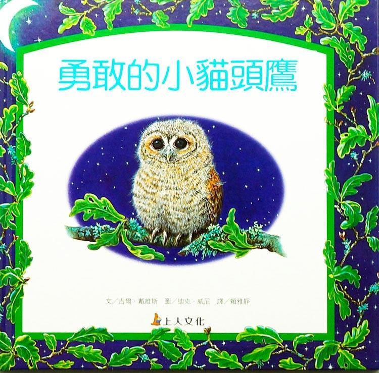 勇敢的小貓頭鷹