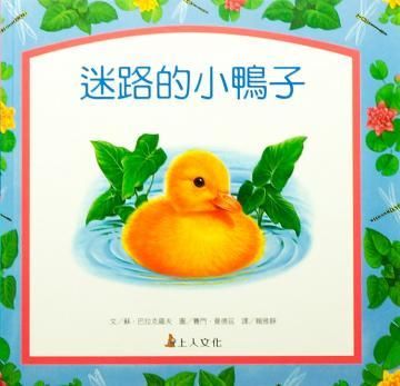 迷路的小鴨子