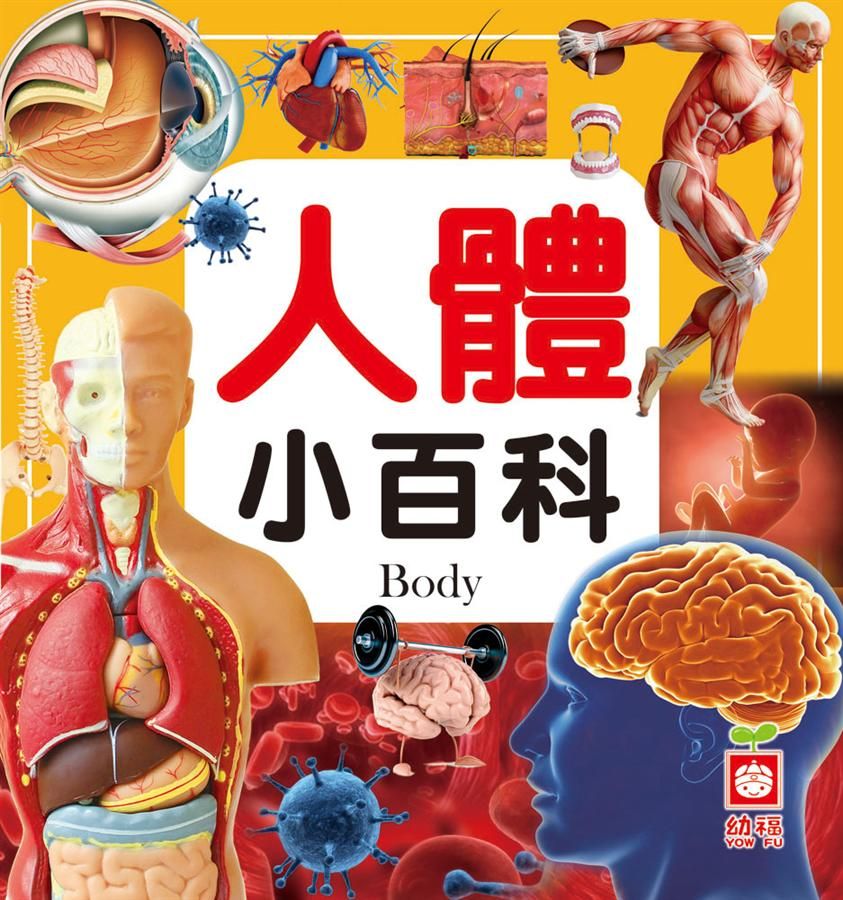 人體小百科