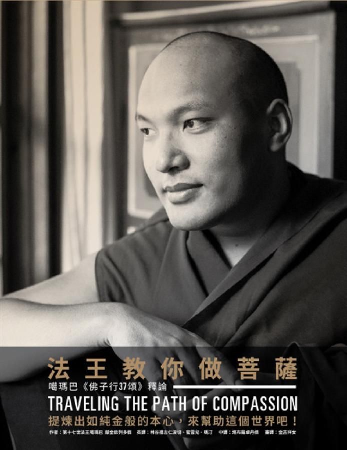 法王教你做菩薩: 噶瑪巴佛子行37頌釋論 (第3版)