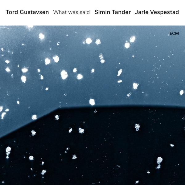 What Was Said (2LP/180g Vinyl)
