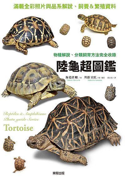 陸龜超圖鑑: 物種解說、分類飼養方法完全收錄