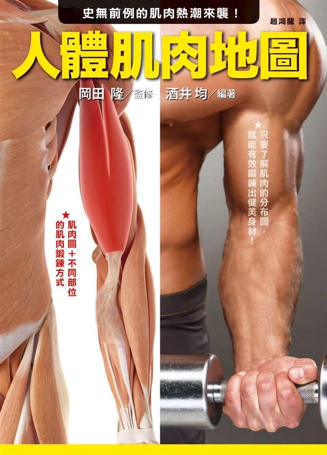 人體肌肉地圖: 史無前例的肌肉熱潮來襲!