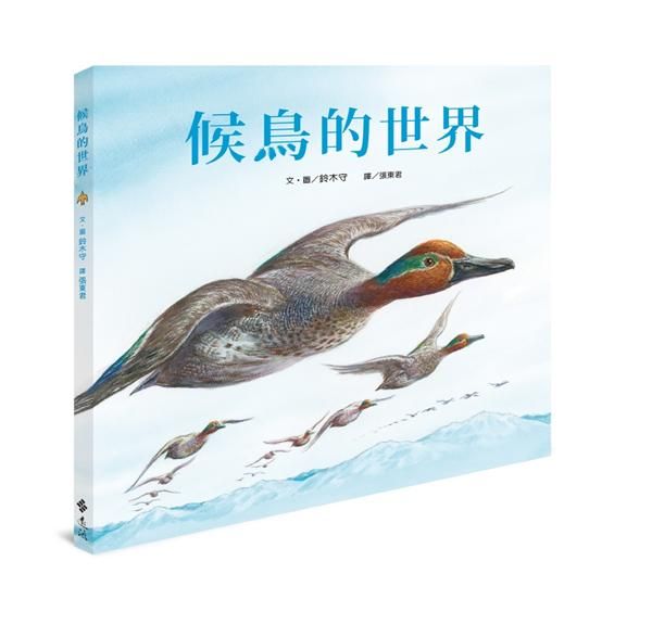 候鳥的世界