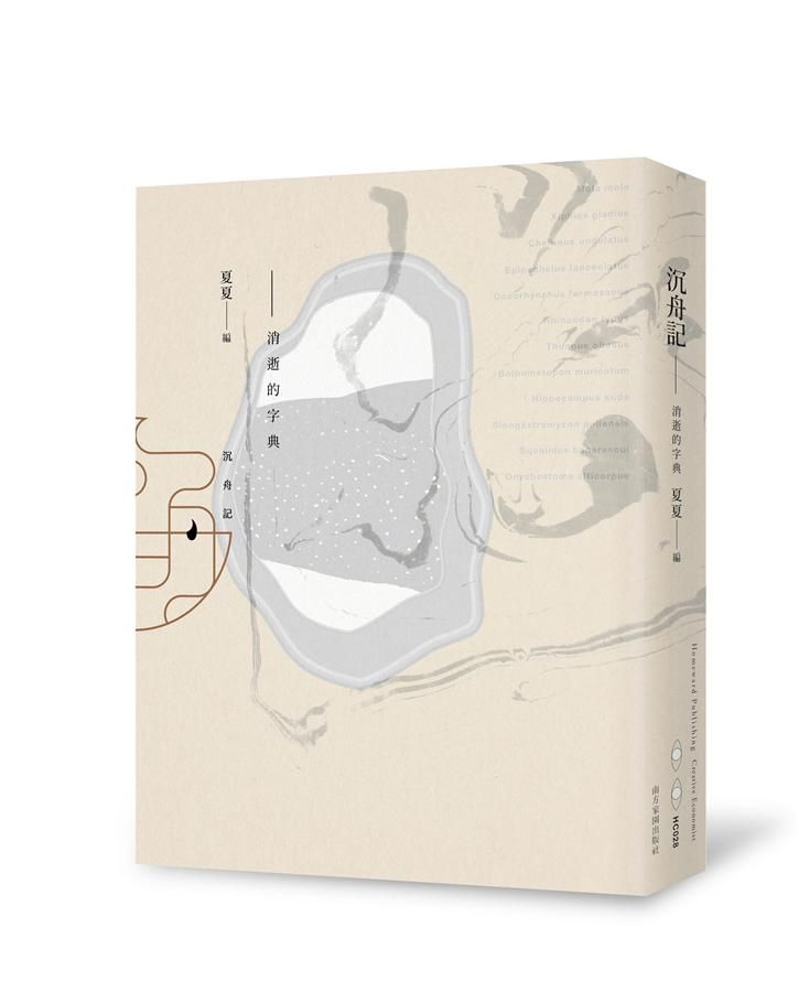 沉舟記: 消逝的字典