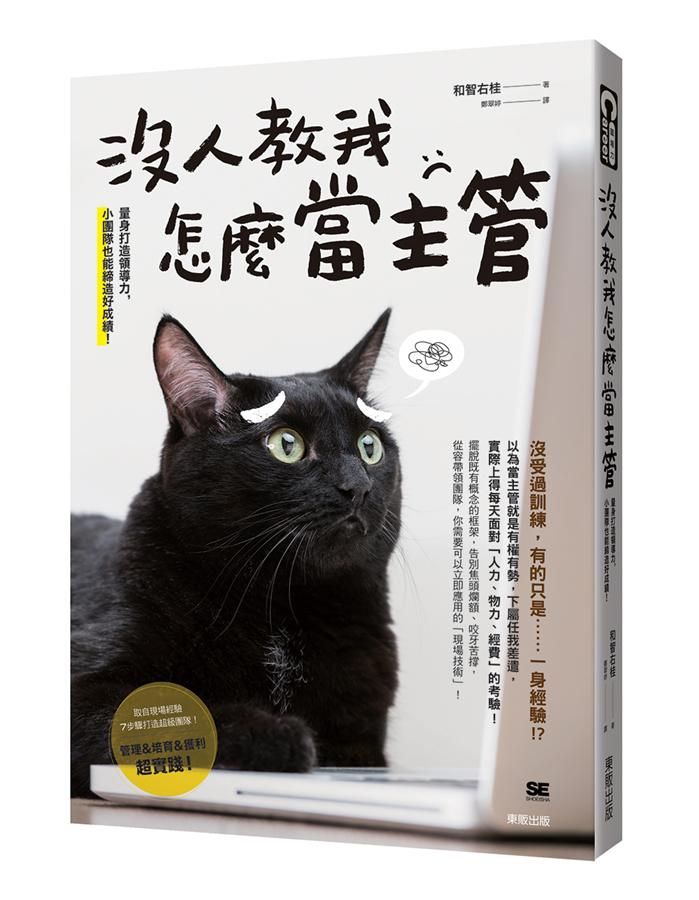 沒人教我怎麼當主管: 量身打造領導力, 小團隊也能締造好成績!