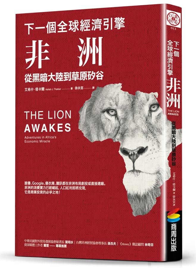 下一個全球經濟引擎: 非洲, 從黑暗大陸到草原矽谷