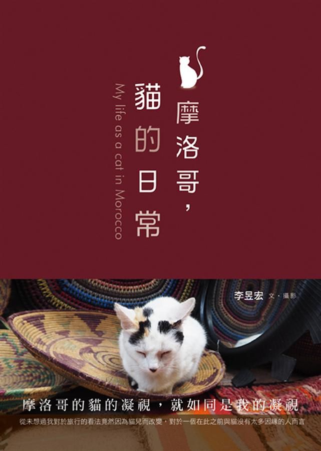 摩洛哥, 貓的日常